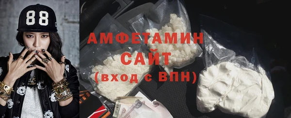 шишки Покачи