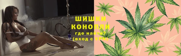 шишки Покачи